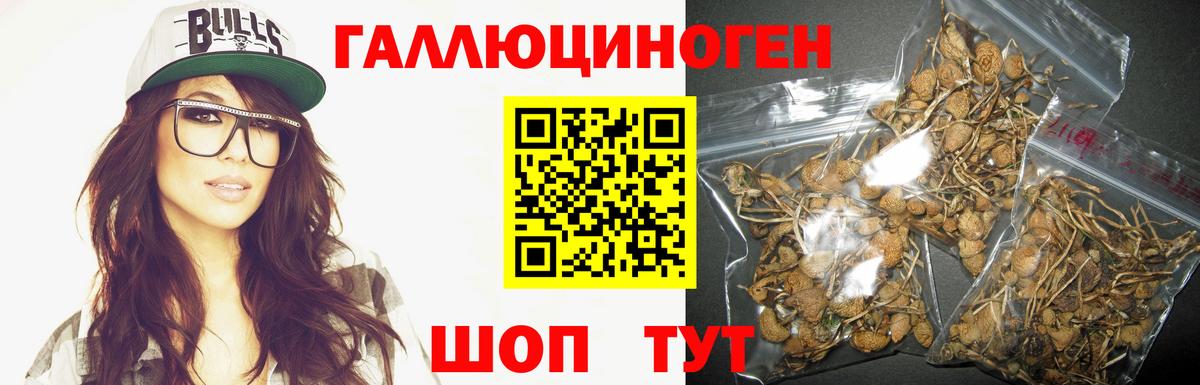 Галлюциногенные грибы Psilocybe  Галлюциногенные грибы мухоморы  Орехово-Зуево  Вход с VPN 
